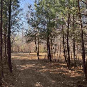 Photo #6 of 3860-2 GILBERT STATION RD, BARBOURSVILLE, VA 2.1 acres