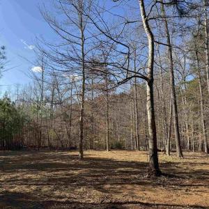 Photo #7 of 3860-2 GILBERT STATION RD, BARBOURSVILLE, VA 2.1 acres