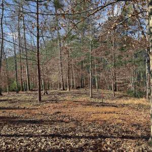 Photo #4 of 3860-2 GILBERT STATION RD, BARBOURSVILLE, VA 2.1 acres