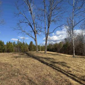 Photo #3 of 3860 GILBERT STATION RD, BARBOURSVILLE, VA 71.0 acres