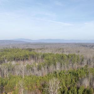 Photo #13 of 3860 GILBERT STATION RD, BARBOURSVILLE, VA 71.0 acres