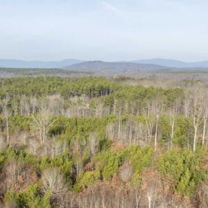 Photo #14 of 3860 GILBERT STATION RD, BARBOURSVILLE, VA 71.0 acres