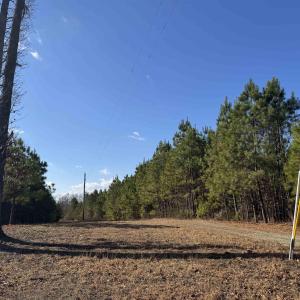 Photo #8 of 3860 GILBERT STATION RD, BARBOURSVILLE, VA 71.0 acres