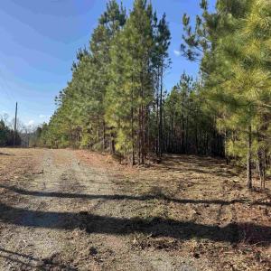 Photo #5 of 3860 GILBERT STATION RD, BARBOURSVILLE, VA 71.0 acres