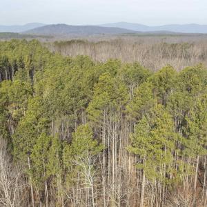 Photo #16 of 3860 GILBERT STATION RD, BARBOURSVILLE, VA 71.0 acres