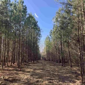 Photo #7 of 3860 GILBERT STATION RD, BARBOURSVILLE, VA 71.0 acres