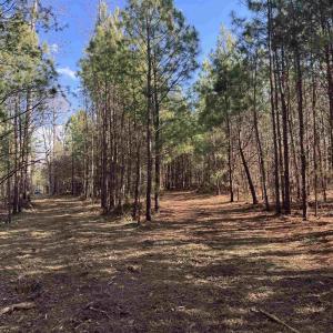 Photo #11 of 3860 GILBERT STATION RD, BARBOURSVILLE, VA 71.0 acres