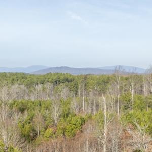 Photo #15 of 3860 GILBERT STATION RD, BARBOURSVILLE, VA 71.0 acres