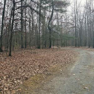 Photo #10 of 516 THOROFARE RD, CRIMORA, VA 3.8 acres
