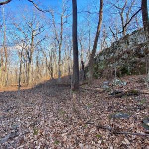 Photo #5 of 462 DEER SPRINGS LN, WINTERGREEN RESORT, VA 0.4 acres