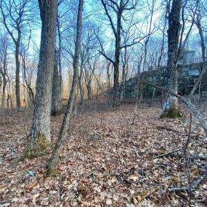 Photo #3 of 462 DEER SPRINGS LN, WINTERGREEN RESORT, VA 0.4 acres