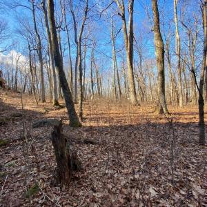 Photo #12 of 462 DEER SPRINGS LN, WINTERGREEN RESORT, VA 0.4 acres