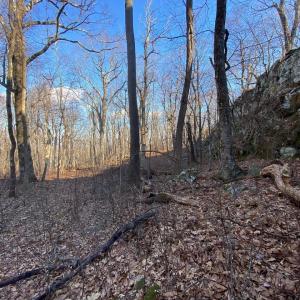 Photo #6 of 462 DEER SPRINGS LN, WINTERGREEN RESORT, VA 0.4 acres