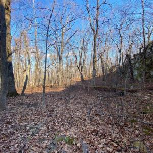 Photo #7 of 462 DEER SPRINGS LN, WINTERGREEN RESORT, VA 0.4 acres