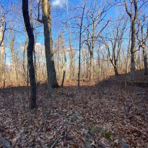 Photo #8 of 462 DEER SPRINGS LN, WINTERGREEN RESORT, VA 0.4 acres