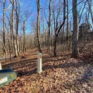 Photo #13 of 462 DEER SPRINGS LN, WINTERGREEN RESORT, VA 0.4 acres
