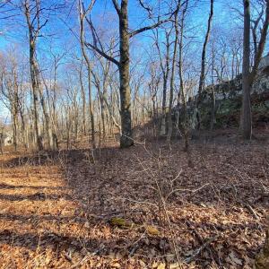 Photo #1 of 462 DEER SPRINGS LN, WINTERGREEN RESORT, VA 0.4 acres