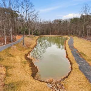 Photo #7 of 709 STULTZ GAP RD, EDINBURG, VA 43.3 acres