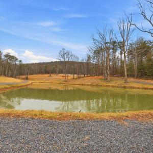 Photo #11 of 709 STULTZ GAP RD, EDINBURG, VA 43.3 acres
