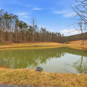 Photo #12 of 709 STULTZ GAP RD, EDINBURG, VA 43.3 acres
