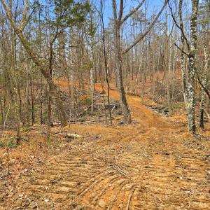 Photo #6 of 709 STULTZ GAP RD, EDINBURG, VA 43.3 acres