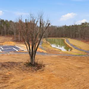 Photo #4 of 709 STULTZ GAP RD, EDINBURG, VA 43.3 acres