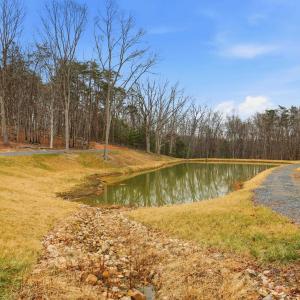 Photo #8 of 709 STULTZ GAP RD, EDINBURG, VA 43.3 acres