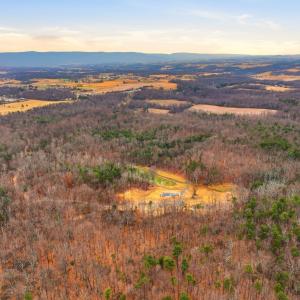 Photo #26 of 709 STULTZ GAP RD, EDINBURG, VA 43.3 acres