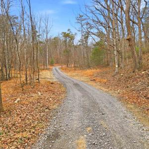 Photo #5 of 709 STULTZ GAP RD, EDINBURG, VA 43.3 acres
