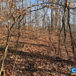 Photo #7 of GLEN EAGLES DR, GORDONSVILLE, VA 0.4 acres