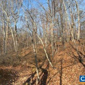 Photo #6 of GLEN EAGLES DR, GORDONSVILLE, VA 0.4 acres