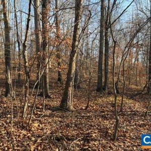 Photo #4 of GLEN EAGLES DR, GORDONSVILLE, VA 0.4 acres