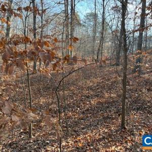 Photo #7 of GLEN EAGLES DR, GORDONSVILLE, VA 0.5 acres