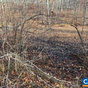 Photo #5 of GLEN EAGLES DR, GORDONSVILLE, VA 0.5 acres