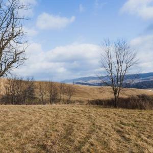 Photo #15 of tbd BLUE GRASS VALLEY RD, MONTEREY, VA 75.0 acres