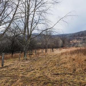Photo #12 of tbd BLUE GRASS VALLEY RD, MONTEREY, VA 75.0 acres