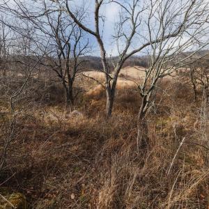 Photo #18 of tbd BLUE GRASS VALLEY RD, MONTEREY, VA 75.0 acres