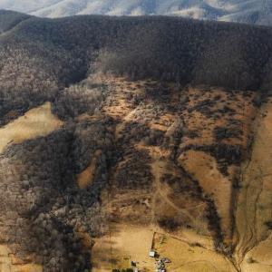 Photo #19 of tbd BLUE GRASS VALLEY RD, MONTEREY, VA 75.0 acres