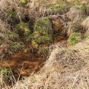 Photo #8 of tbd BLUE GRASS VALLEY RD, MONTEREY, VA 75.0 acres