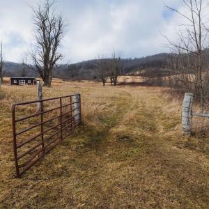Photo #4 of tbd BLUE GRASS VALLEY RD, MONTEREY, VA 75.0 acres