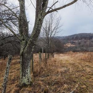 Photo #13 of tbd BLUE GRASS VALLEY RD, MONTEREY, VA 75.0 acres