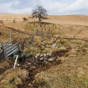 Photo #17 of tbd BLUE GRASS VALLEY RD, MONTEREY, VA 75.0 acres