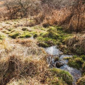 Photo #7 of tbd BLUE GRASS VALLEY RD, MONTEREY, VA 75.0 acres