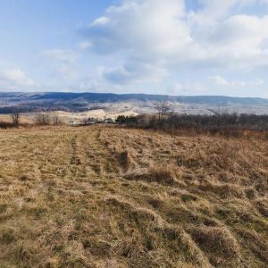 Photo #10 of tbd BLUE GRASS VALLEY RD, MONTEREY, VA 75.0 acres