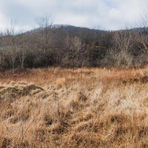 Photo #11 of tbd BLUE GRASS VALLEY RD, MONTEREY, VA 75.0 acres