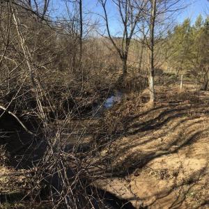 Photo #10 of BATESVILLE RD, AFTON, VA 120.1 acres