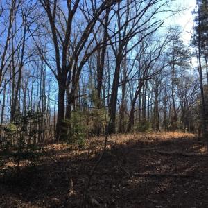 Photo #2 of BATESVILLE RD, AFTON, VA 120.1 acres