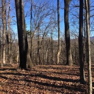 Photo #3 of BATESVILLE RD, AFTON, VA 120.1 acres