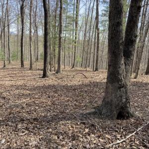 Photo #8 of BATESVILLE RD, AFTON, VA 120.1 acres