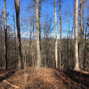 Photo #11 of BATESVILLE RD, AFTON, VA 120.1 acres